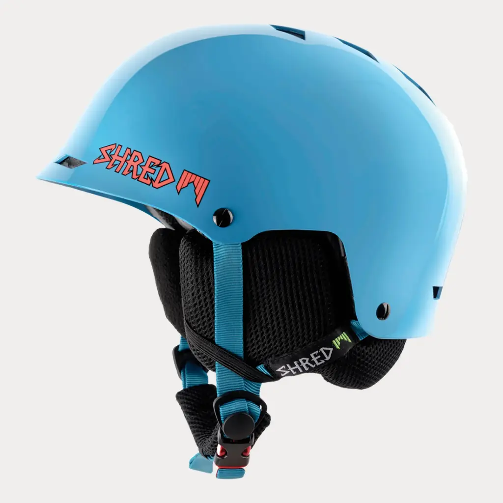 HALF BRAIN SKYWARD SHINY