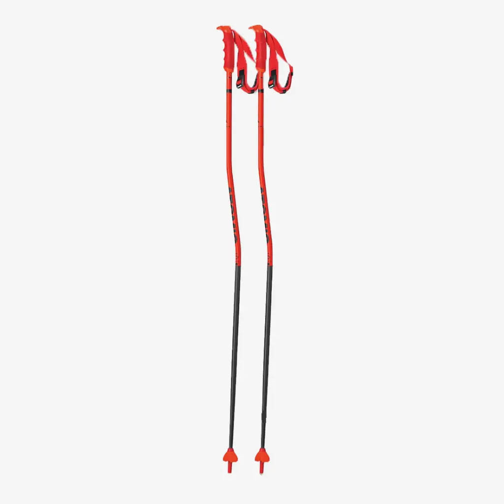 [AJ5005634-110] REDSTER RS GS (110)