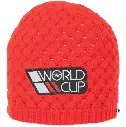 WORLD CUP