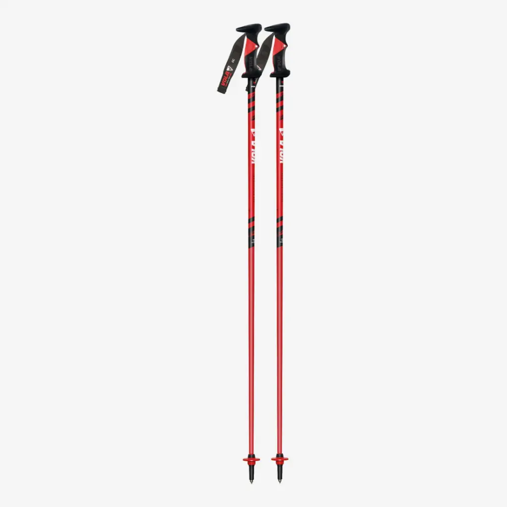 [FR1SL-110] SL POLE ALU SR (110)