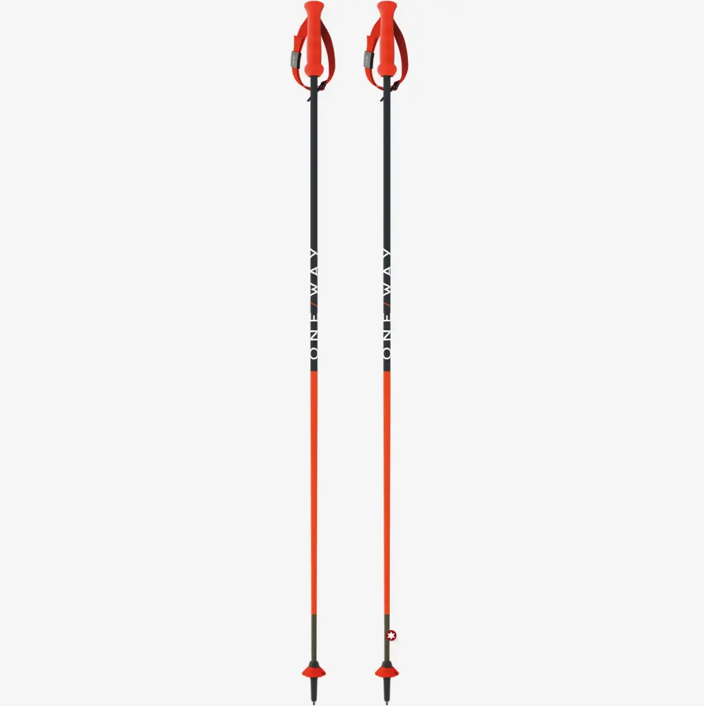 RD 13 CARBON