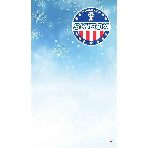 [2249.049.004.U] C19 WC SNOW FLAKE