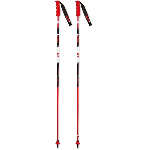 GS CARBON